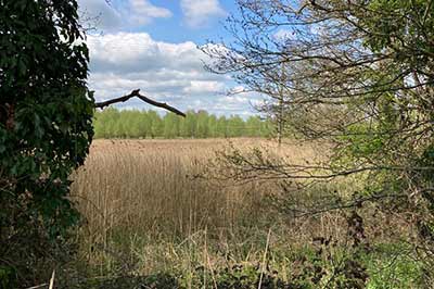 brambles bromeswell our site view