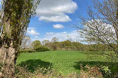 brambles bromeswell our site